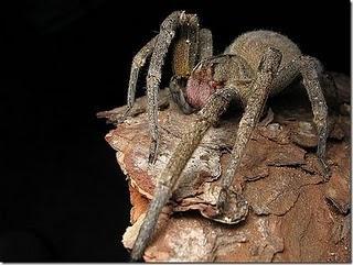 Enlaces de la semana (10/11)