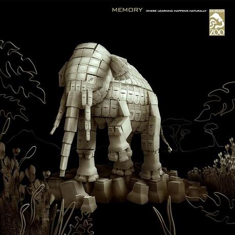 Color, sabiduría y memoria