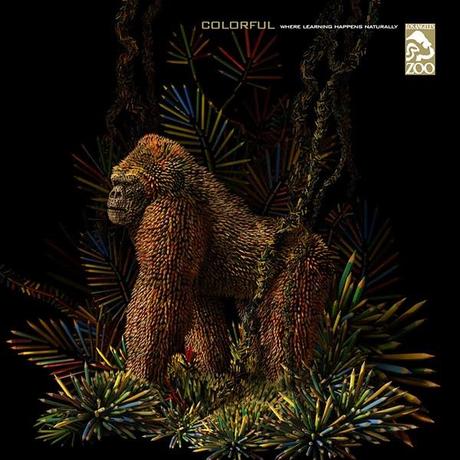 Color, sabiduría y memoria