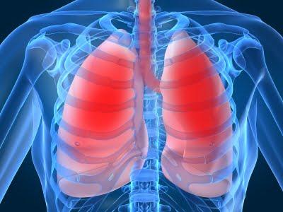 Dispositivo  que  permite  los pulmones respiren fuera del cuerpo