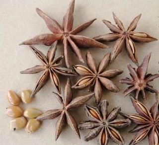 ANÍS PALOMA DE MONFORTE DEL CID