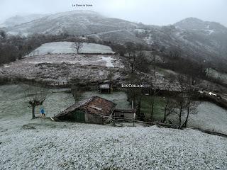 Levinco-Vega-Escoyo-La Collaona