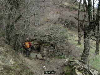 Levinco-Vega-Escoyo-La Collaona