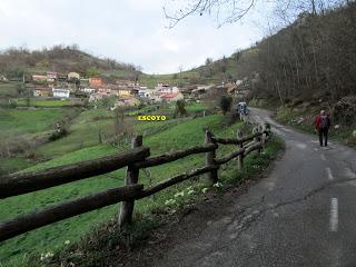 Levinco-Vega-Escoyo-La Collaona