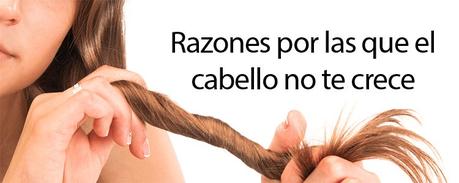 Razones por las que el cabello no te crece