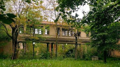 La novia gitana (Carmen Mola)