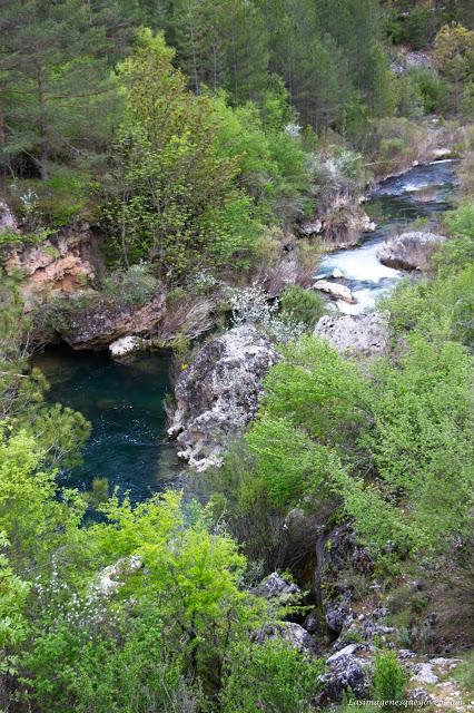 Parque Natural del Alto Tajo. Peralejos de las truchas, divisa los buitres sobrevolando los acantilados Parque Natural del Alto Tajo. Peralejos de las truchas, divisa los buitres sobrevolando los acantilados