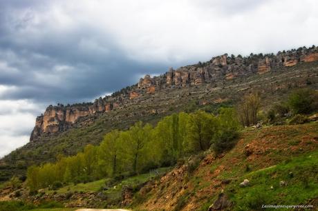 Parque Natural del Alto Tajo. Peralejos de las truchas, divisa los buitres sobrevolando los acantilados Parque Natural del Alto Tajo. Peralejos de las truchas, divisa los buitres sobrevolando los acantilados
