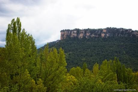Parque Natural del Alto Tajo. Peralejos de las truchas, divisa los buitres sobrevolando los acantilados Parque Natural del Alto Tajo. Peralejos de las truchas, divisa los buitres sobrevolando los acantilados