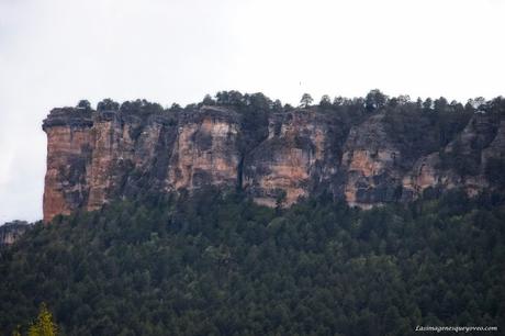 Parque Natural del Alto Tajo. Peralejos de las truchas, divisa los buitres sobrevolando los acantilados Parque Natural del Alto Tajo. Peralejos de las truchas, divisa los buitres sobrevolando los acantilados