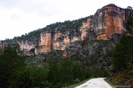 Parque Natural del Alto Tajo. Peralejos de las truchas, divisa los buitres sobrevolando los acantilados Parque Natural del Alto Tajo. Peralejos de las truchas, divisa los buitres sobrevolando los acantilados