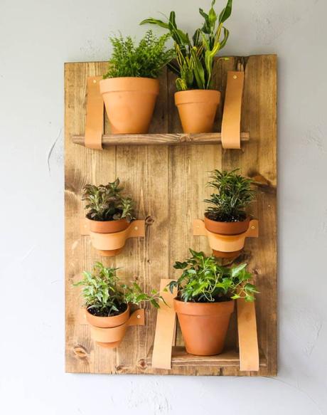 DIY Jardín vertical interior