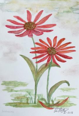 Flores en acuarela 12x20cm