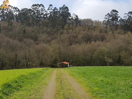 Ruta da Fraga aos Muíños (PR-G 117) - Visantoña (Mesía)