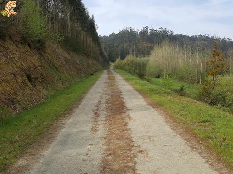 Ruta da Fraga aos Muíños (PR-G 117) - Visantoña (Mesía) Ruta da Fraga aos Muíños (PR-G 117) - Visantoña (Mesía)