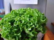 Recomiendan especialistas issemym evitar comer alimentos pública