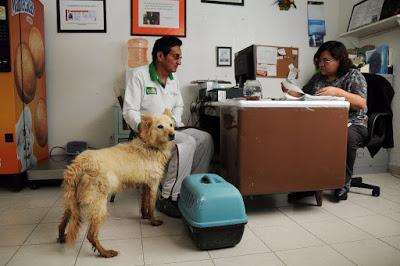 VERIFICA COPRISEM CENTROS DE BIENESTAR ANIMAL