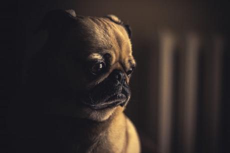 matthew-henry-8824-unsplash Nuestro peor arrepentimiento