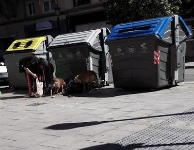 Foto denuncia Valencia «Guarros». Foto denuncia Valencia «Guarros».