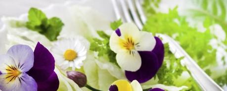 Flores comestibles Consejos para consumir flores comestibles