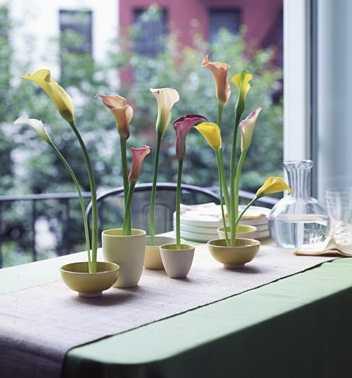 AYUDA-PARA-INICIAR-UN-PEQUEÑO-NEGOCIO3 AYUDA PARA INICIAR UN PEQUEÑO NEGOCIO: ¿Una floristería?