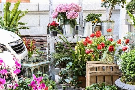 AYUDA-PARA-INICIAR-UN-PEQUEÑO-NEGOCIO AYUDA PARA INICIAR UN PEQUEÑO NEGOCIO: ¿Una floristería?
