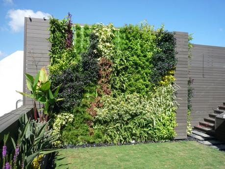 JARDINES-VERTICALES-EN-CUENCA2 ¿JARDINES VERTICALES EN CUENCA?