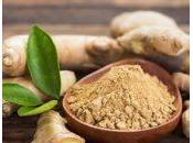 Beneficios usos culinarios jengibre