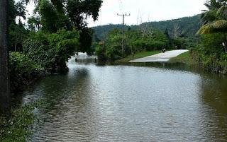Tormenta Alberto dejó siete fallecidos en Cuba