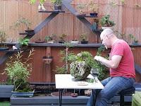 Farallon : podas de mantenimiento