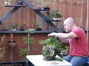 Farallon podas mantenimiento