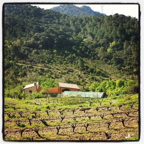 Catalunya, terroir de la diversidad