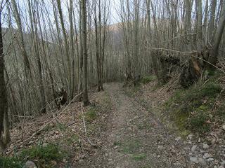 Ujo/Uxo-Casares-La Felguerona-Retruyés