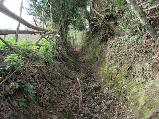 Ujo/Uxo-Casares-La Felguerona-Retruyés