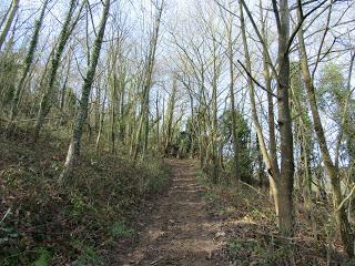 Ujo/Uxo-Casares-La Felguerona-Retruyés