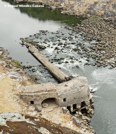 La Vida del Molinero