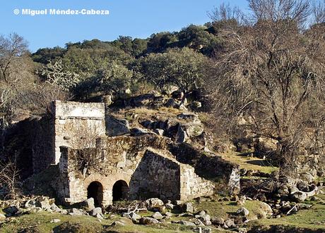 La Vida del Molinero