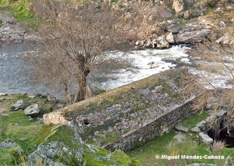 La Vida del Molinero