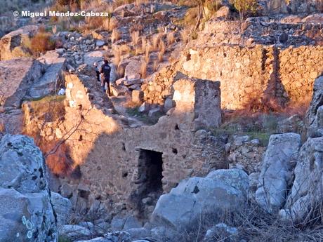 La Vida del Molinero