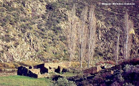 La Vida del Molinero