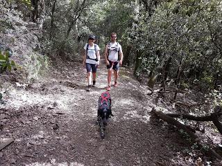 SENDERISMO EN EL MONTSENY: TURÓ DE L’HOME (1706 m) I LES AGUDES (1705 m)