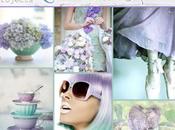 Reto Junio Kora Projects