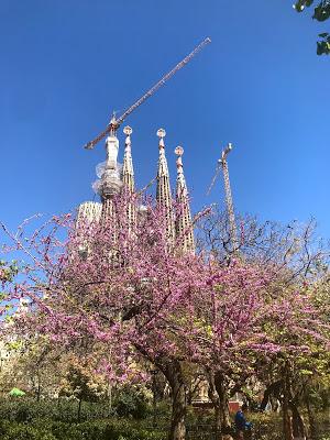 YO RECOMIENDO : RESTAURANT TRENCADÍS