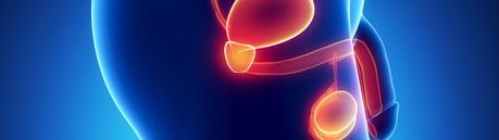 Tratamiento de la orquitis