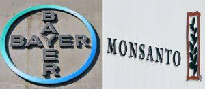 Bayer acaba con la marca Monsanto