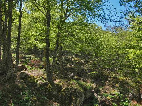 El Camín de los Beyuscos (Parte II): De Cueva Negra a Ribota