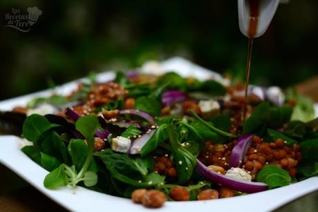 Ensalada de brotes y lentejas receta casera 04