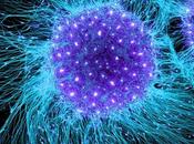 peligro usar células madre como tratamiento para autismo