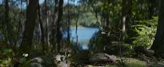 En realidad, nunca estuviste aquí (You were never really here, Lynne Ramsay, GB / FR & EEUU)