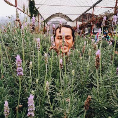 Reimaginando Jurassic Park con Lai Thing Sheng